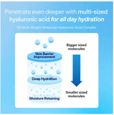 View details for DIVE IN 5D Hyaluronic Acid Ultra Hydrating Serum for Plum & Glow Skin 1.69 oz/50ml DIVE IN 5D Hyaluronic Acid Ultra Hydrating Serum for Plum & Glow Skin 1.69 oz/50ml