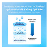 View details for Torriden DIVE IN 5D Hyaluronic Acid Toner Pads for Deep Hydration & Exfoliation Torriden DIVE IN 5D Hyaluronic Acid Toner Pads for Deep Hydration & Exfoliation