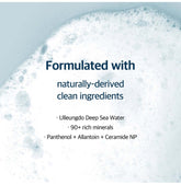 BROUND LAB 1025 Dokdo Cleanser 150ml / 5.07 ft oz